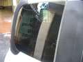 Fiat Panda Cross Pandina 1.0 FireFly Hybrid 5Posto Nuovo Mo Bianco - thumbnail 8