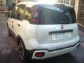 Fiat Panda Cross Pandina 1.0 FireFly Hybrid 5Posto Nuovo Mo Bianco - thumbnail 13