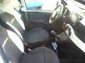 Fiat Panda Cross Pandina 1.0 FireFly Hybrid 5Posto Nuovo Mo Bianco - thumbnail 29