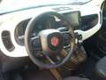 Fiat Panda Cross Pandina 1.0 FireFly Hybrid 5Posto Nuovo Mo Bianco - thumbnail 15
