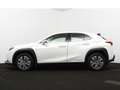 Lexus UX 300e Business | Full Electric | Apple CarPlay / Android bijela - thumbnail 4