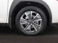 Lexus UX 300e Business | Full Electric | Apple CarPlay / Android Blanco - thumbnail 32