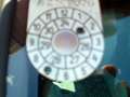 Ford Fusion Denim 1,4 TDCi Pickerl 7/25+4Mon. Blau - thumbnail 9