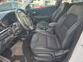 Kia Niro Spirit 1,6 Hybrid KeyLess*Kamera Bianco - thumbnail 7