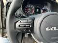Kia Picanto 1.0 DPi Comfort Airco,CruiseC,Bluetooth,Google map Bruin - thumbnail 13