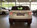 Land Rover Range Rover Evoque SE 2.0 T LAR Si4 Navi Leder Hifi Klimaautom Alarm Weiß - thumbnail 4