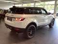 Land Rover Range Rover Evoque SE 2.0 T LAR Si4 Navi Leder Hifi Klimaautom Alarm Weiß - thumbnail 5