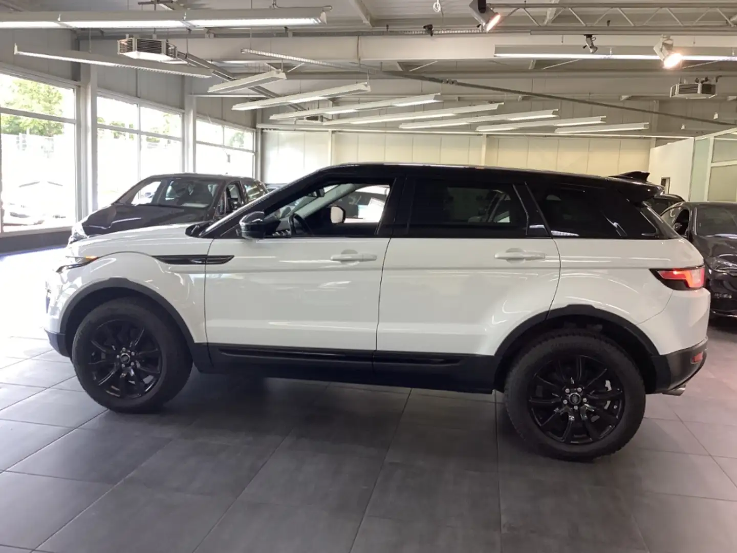 Land Rover Range Rover Evoque SE 2.0 T LAR Si4 Navi Leder Hifi Klimaautom Alarm Weiß - 2
