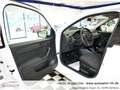 Skoda Fabia Cool Plus*1Vorb*Skoda Serviceg.*PDC H*Sitzhe.*LM-F Weiß - thumbnail 11