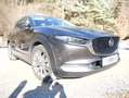 Mazda CX-30 CX-30 G122 AWD Comfort+ Aut. Comfort+ Grau - thumbnail 12