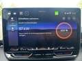 CUPRA Raval ENDURANCE 52/55 155kW/210 PS Grau - thumbnail 11