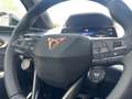 CUPRA Raval ENDURANCE 52/55 155kW/210 PS Grau - thumbnail 18