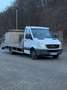 Mercedes-Benz Sprinter II Autotransporter VIDEO über 6 minute Wit - thumbnail 12