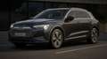 Audi Q8 e-tron Advanced 55 quattro, Matrix-LED, Leder, B&O, 8-Fac Schwarz - thumbnail 8