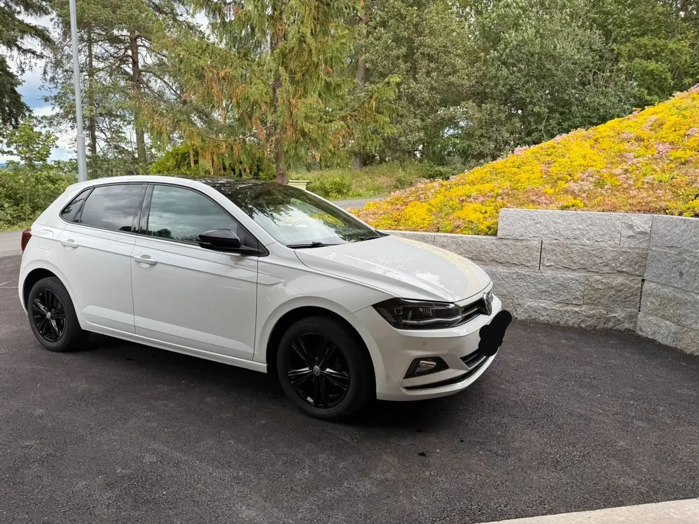 Volkswagen Polo Polo 1.0 TSI 95 S Blanc - 2
