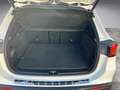 Mercedes-Benz EQA 300 4M*PROGRESSIVE ADVANCED*WINTERPAKET*KAMERA*MBUX* Weiß - thumbnail 13