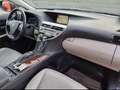 Lexus RX 450h (hybrid) Executive Line Grey - thumbnail 9