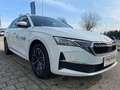 Skoda Octavia 1.5 TSI mHEV 110 kW Selection Weiß - thumbnail 4