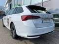 Skoda Octavia 1.5 TSI mHEV 110 kW Selection Weiß - thumbnail 2