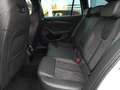 Skoda Octavia Combi RS 4x4 2,0 TDI DSG *RS-EXKLUSIV INTERIEUR / MATRIX-LED / DCC / MEMORY & MASSAGE / CANTON* Weiß - thumbnail 13