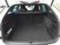 Skoda Octavia Combi RS 4x4 2,0 TDI DSG *RS-EXKLUSIV INTERIEUR / MATRIX-LED / DCC / MEMORY & MASSAGE / CANTON* Weiß - thumbnail 14