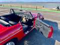 MG MGB OVERDRIVE Rot - thumbnail 28