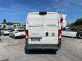 Fiat Ducato 35 3.0 CNG 136CV PLM-TM Blanc - thumbnail 6