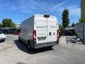 Fiat Ducato 35 3.0 CNG 136CV PLM-TM Blanc - thumbnail 5