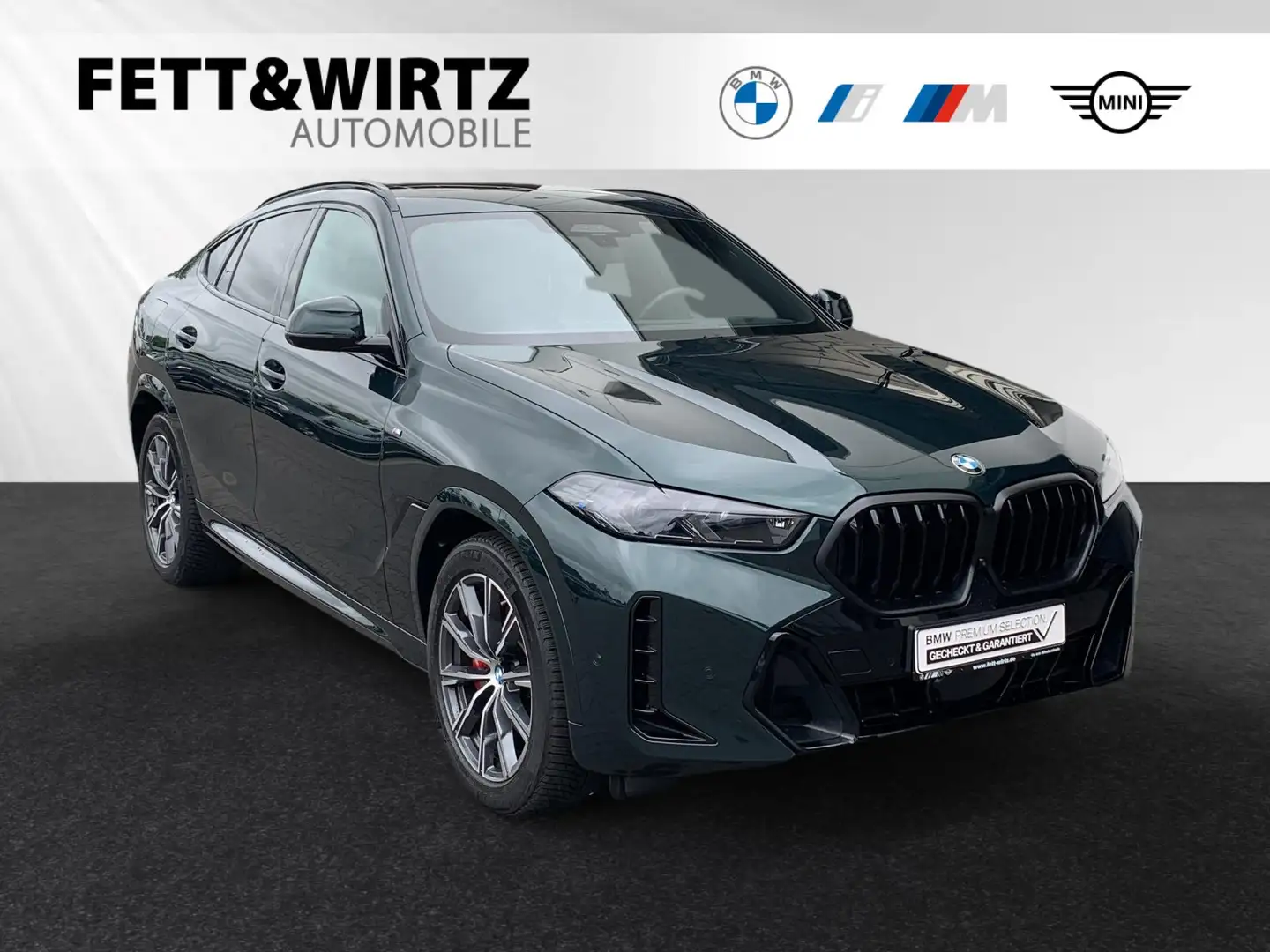 BMW X6 xDrive40d *Oxfordgrün II*|MSportPro|AHK|Pano Vert - 1