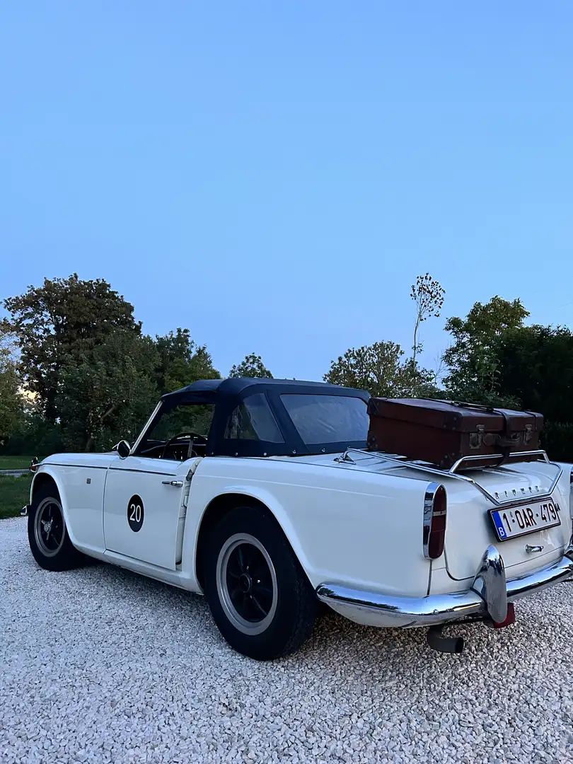 Triumph TR4 Weiß - 1