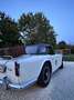 Triumph TR4 Weiß - thumbnail 2