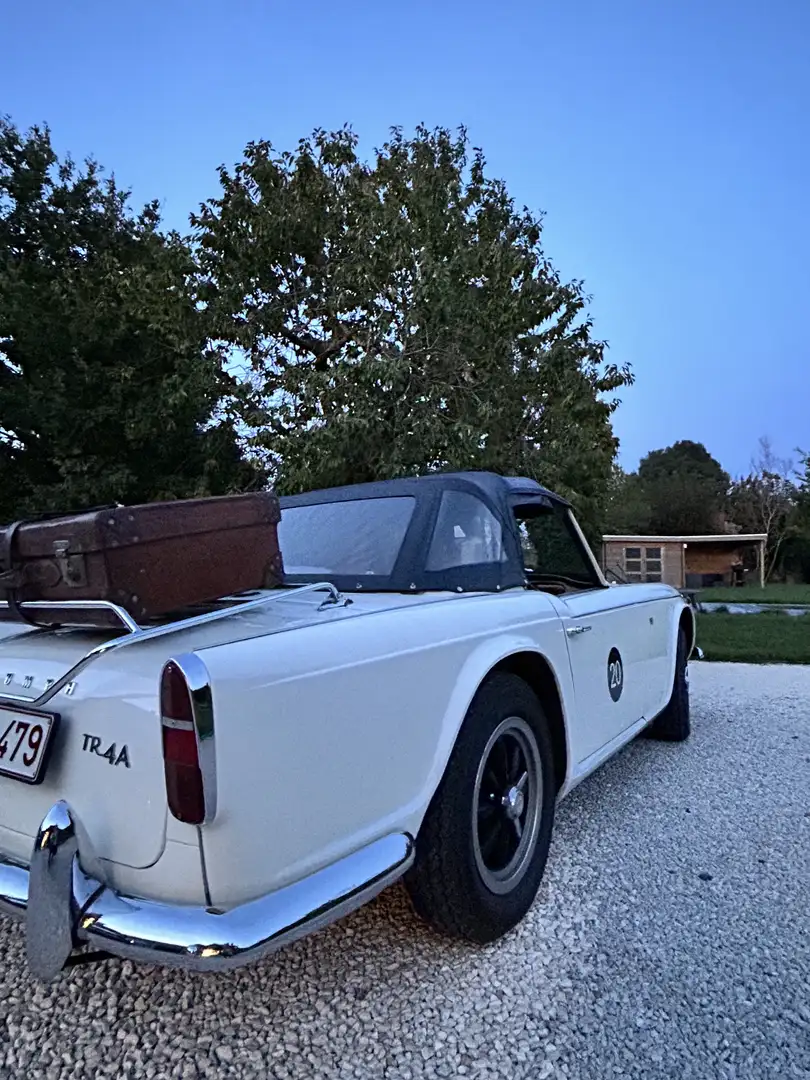 Triumph TR4 Weiß - 2