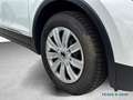 Volkswagen Tiguan Active 2.0 TDI DSG 150PS Weiß - thumbnail 4