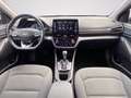 Hyundai IONIQ 1.6 hybrid Prime 6dct Bianco - thumbnail 5