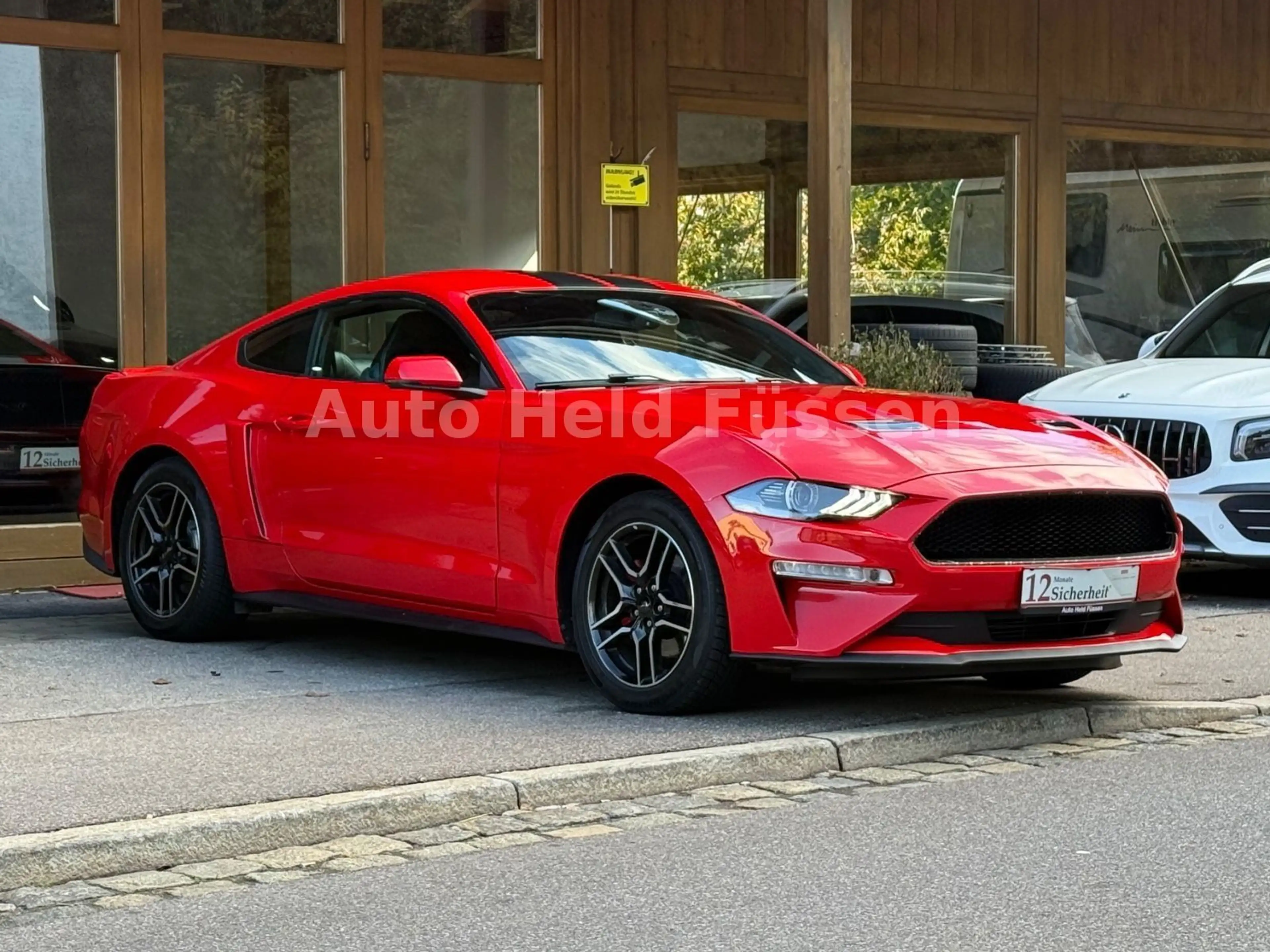 Ford Mustang Fastback 2.3 Kam Temp Recaro Sitze — photo 4
