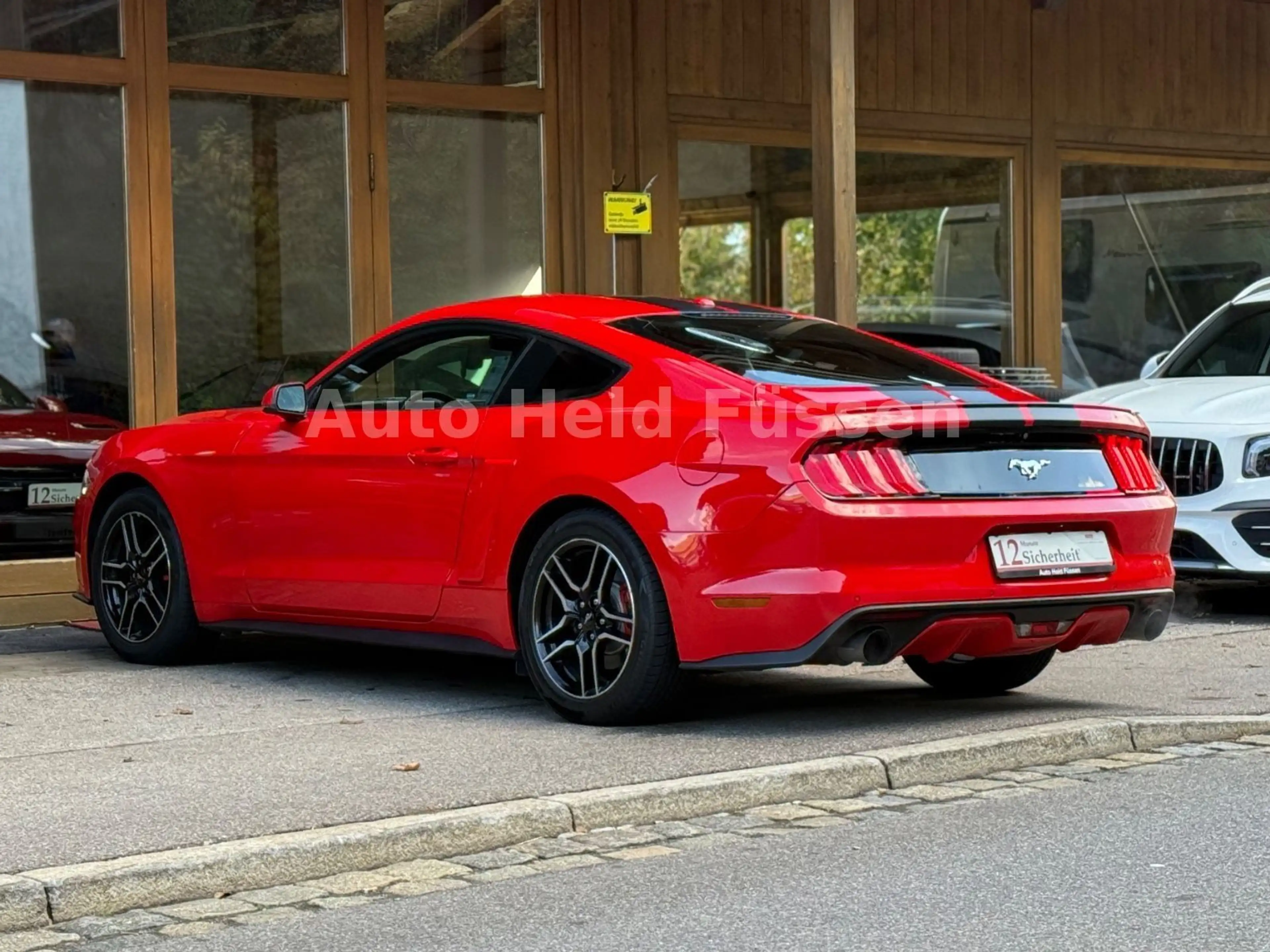 Ford Mustang Fastback 2.3 Kam Temp Recaro Sitze — photo 7
