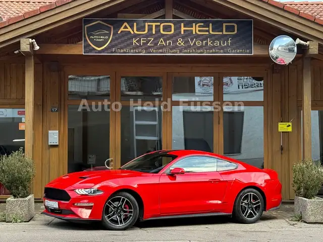 Ford Mustang Fastback 2.3 Kam Temp Recaro Sitze