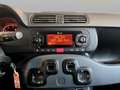 Fiat Panda 0.9 t.air t. 4x4 s&s 85cv my19 - thumbnail 11