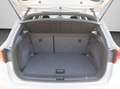 SEAT Arona FR 1.0 TSI NAVI VOLL LED RFK FULL LINK SHZ Wit - thumbnail 15