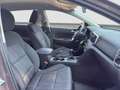 Kia Sportage 1.6 Urban ecogpl 2wd 126cv Bronze - thumbnail 22