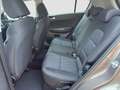 Kia Sportage 1.6 Urban ecogpl 2wd 126cv Bronzo - thumbnail 14