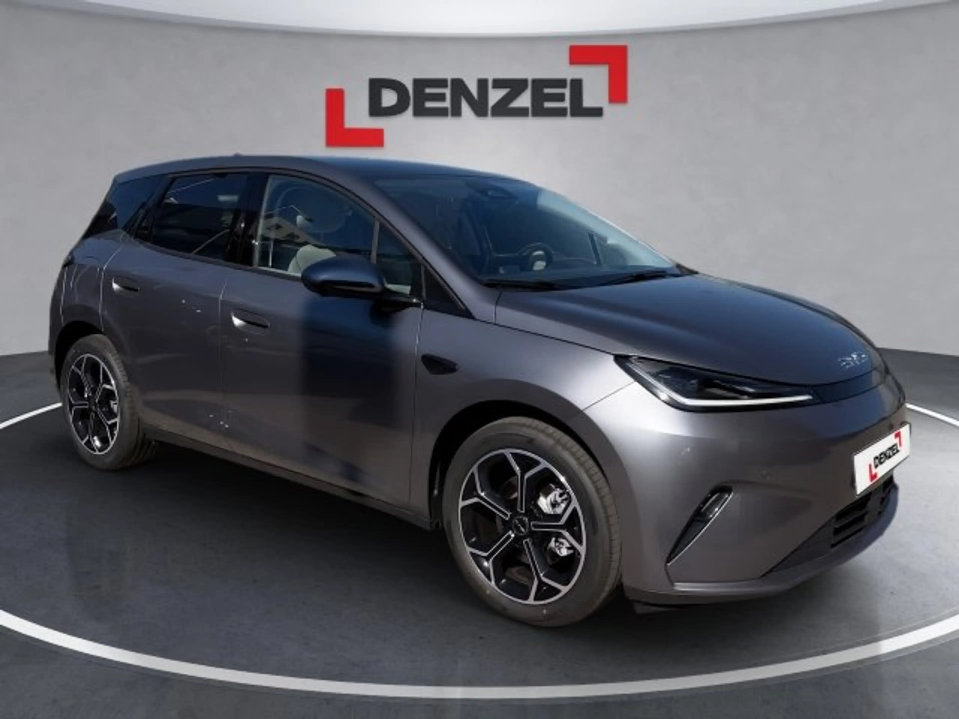 BYD Dolphin G DM-i Comfort — photo 6