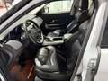Land Rover Range Rover Evoque SE 2,0 TD4 Weiß - thumbnail 10