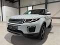 Land Rover Range Rover Evoque SE 2,0 TD4 Weiß - thumbnail 2