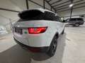 Land Rover Range Rover Evoque SE 2,0 TD4 Weiß - thumbnail 7