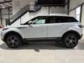 Land Rover Range Rover Evoque SE 2,0 TD4 Weiß - thumbnail 4