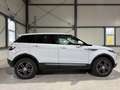 Land Rover Range Rover Evoque SE 2,0 TD4 Weiß - thumbnail 5