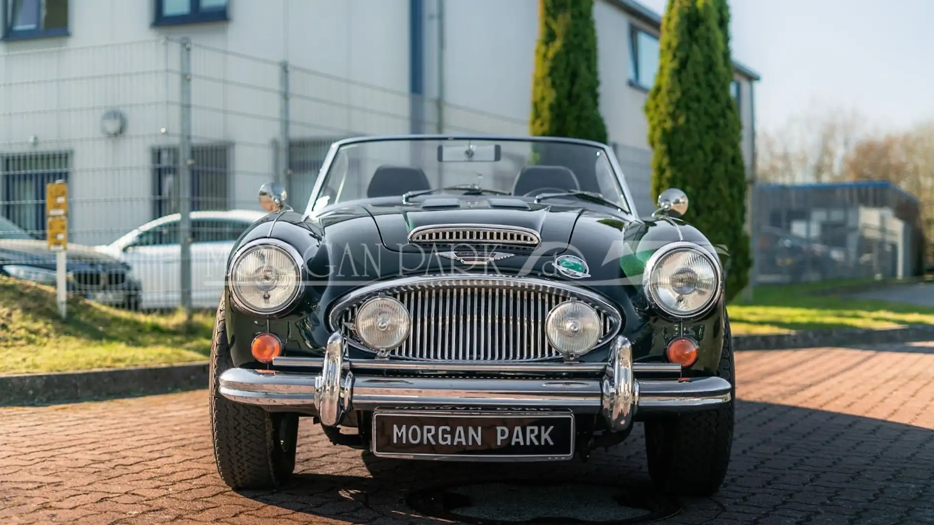 Austin BJ8  3000 MK III 1964   Lesen Sie den Text ! Grün - 2