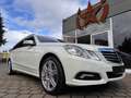 Mercedes-Benz E 350 T-Modell CDI BlueEfficiency Weiß - thumbnail 19