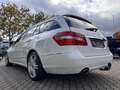 Mercedes-Benz E 350 T-Modell CDI BlueEfficiency Weiß - thumbnail 15